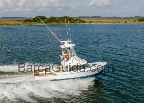 Riva Bertram 31 scheda tecnica e recensioni